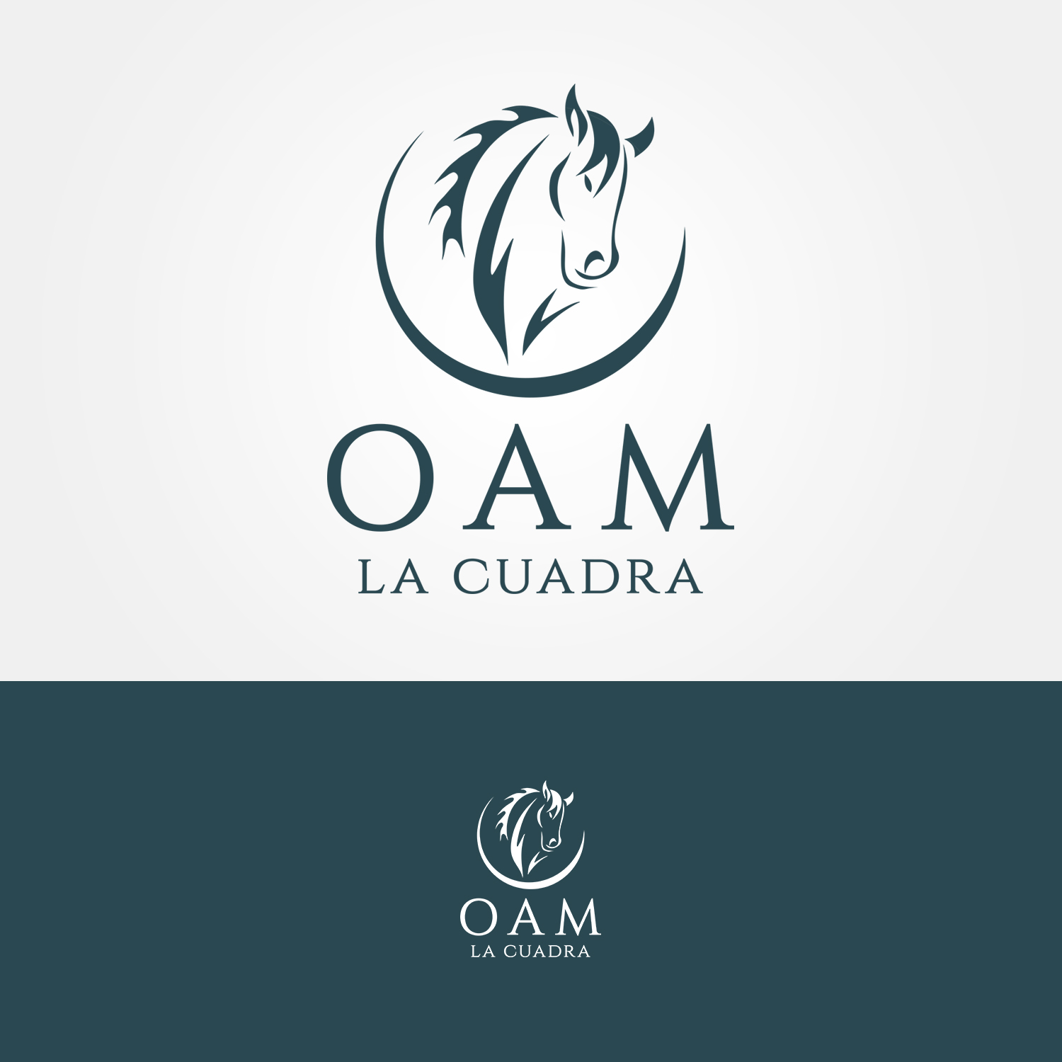 Logo Design by GRAFFYC for this project | Design #10895094