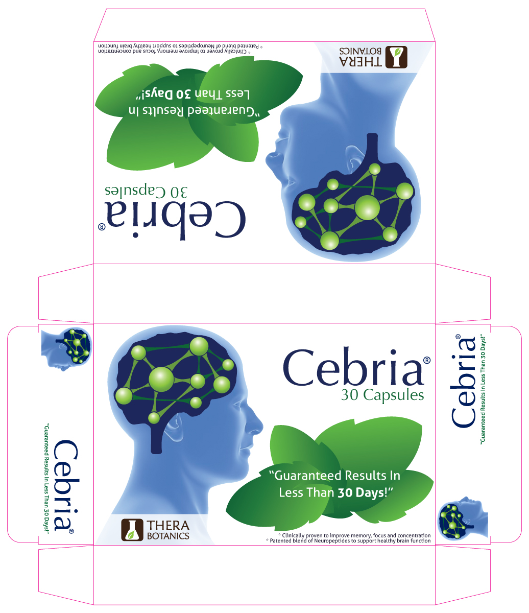Packaging Design by Marcela Neamtu for this project | Design #467358