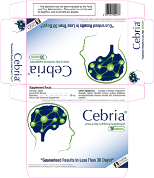 Packaging Design by Marcela Neamtu for this project | Design: #473802