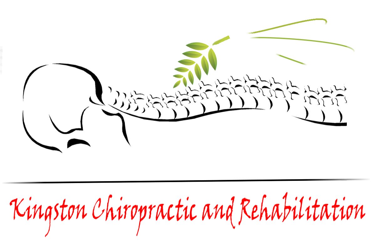Logo Design by fantasy for Kingston Chiropractic and Rehabilitation | Design #2267919
