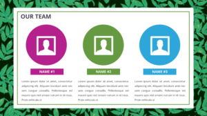 PowerPoint Design by brianritterdesign for this project | Design: #10998389