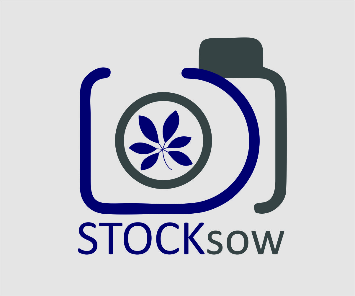 Logo Design by sevilmariyeva for STOCKSOW | Design #10898430