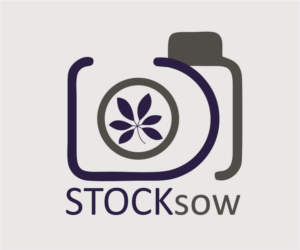 Logo Design by sevilmariyeva for STOCKSOW | Design: #10898430