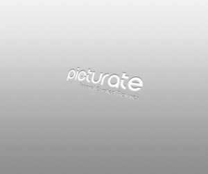 Logo Design by Trilobytes for this project | Design: #10977901