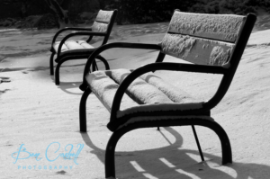 Logo-Design von Marina für dieses Projekt | Design: #10904076