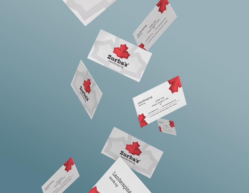 Logo Design by Austerlizz (Vasiliy Potyomkin) for this project | Design #10905744