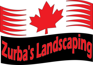 Design de Logo par gurinder duggal pour ce projet | Design : #10910820