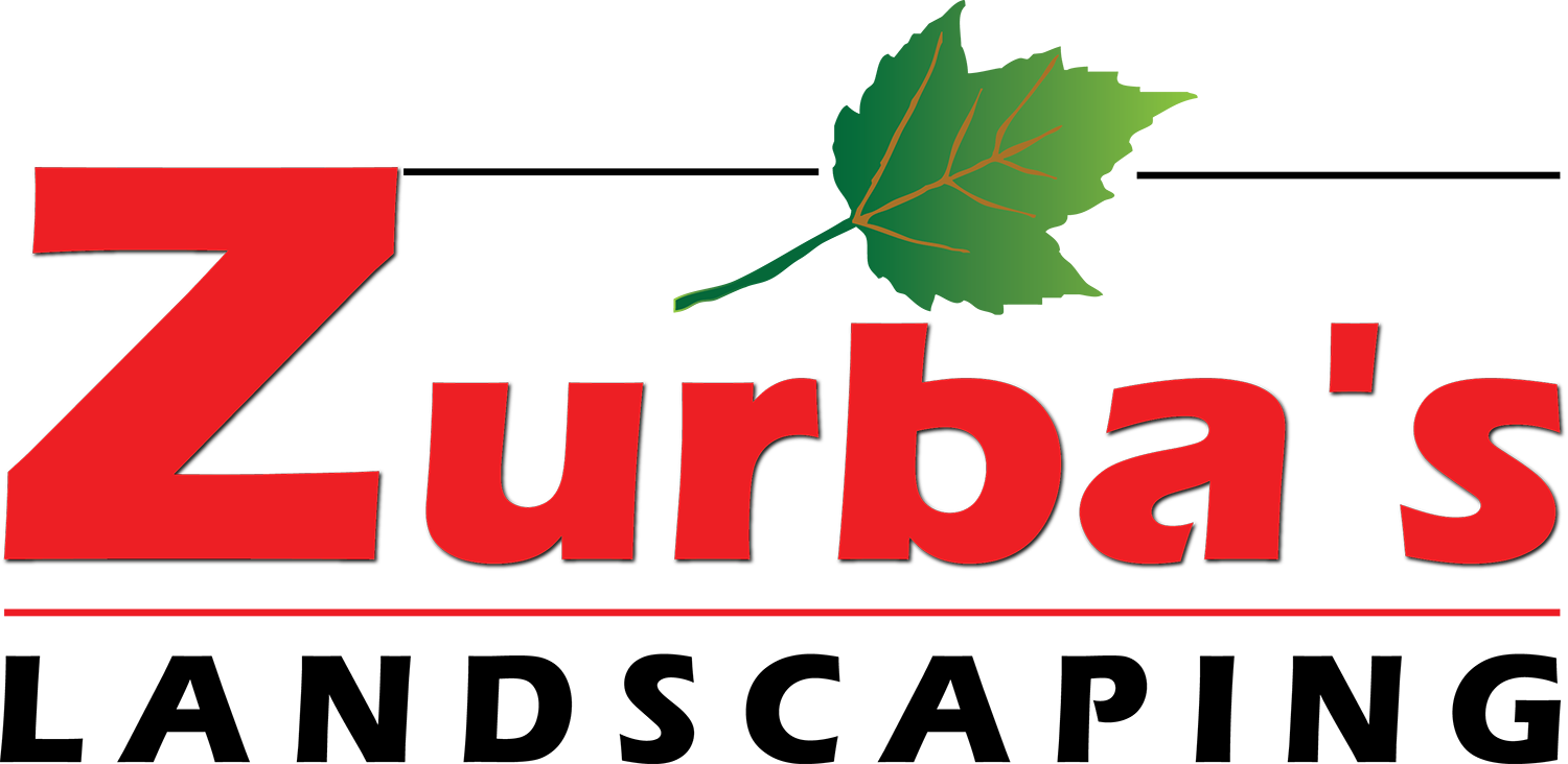 Logo Design by gurinder duggal for this project | Design #10910821