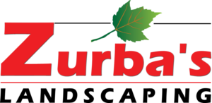 Design de Logo par gurinder duggal pour ce projet | Design : #10910821