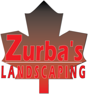 Design de Logo par gurinder duggal pour ce projet | Design : #10910823