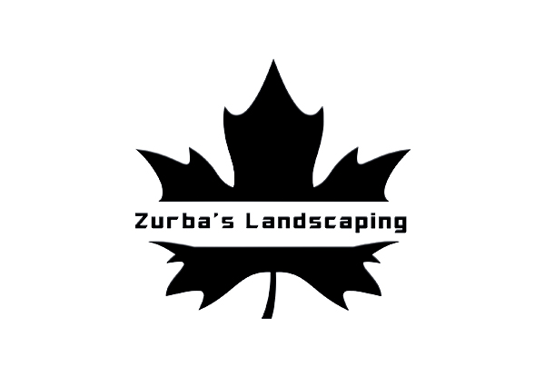 Design de Logo par EGYPT KING pour ce projet | Design #10909096