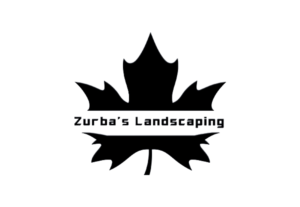 Design de Logo par EGYPT KING pour ce projet | Design : #10909096