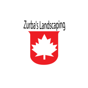 Design de Logo par The_Raving_Raven pour ce projet | Design : #10905409