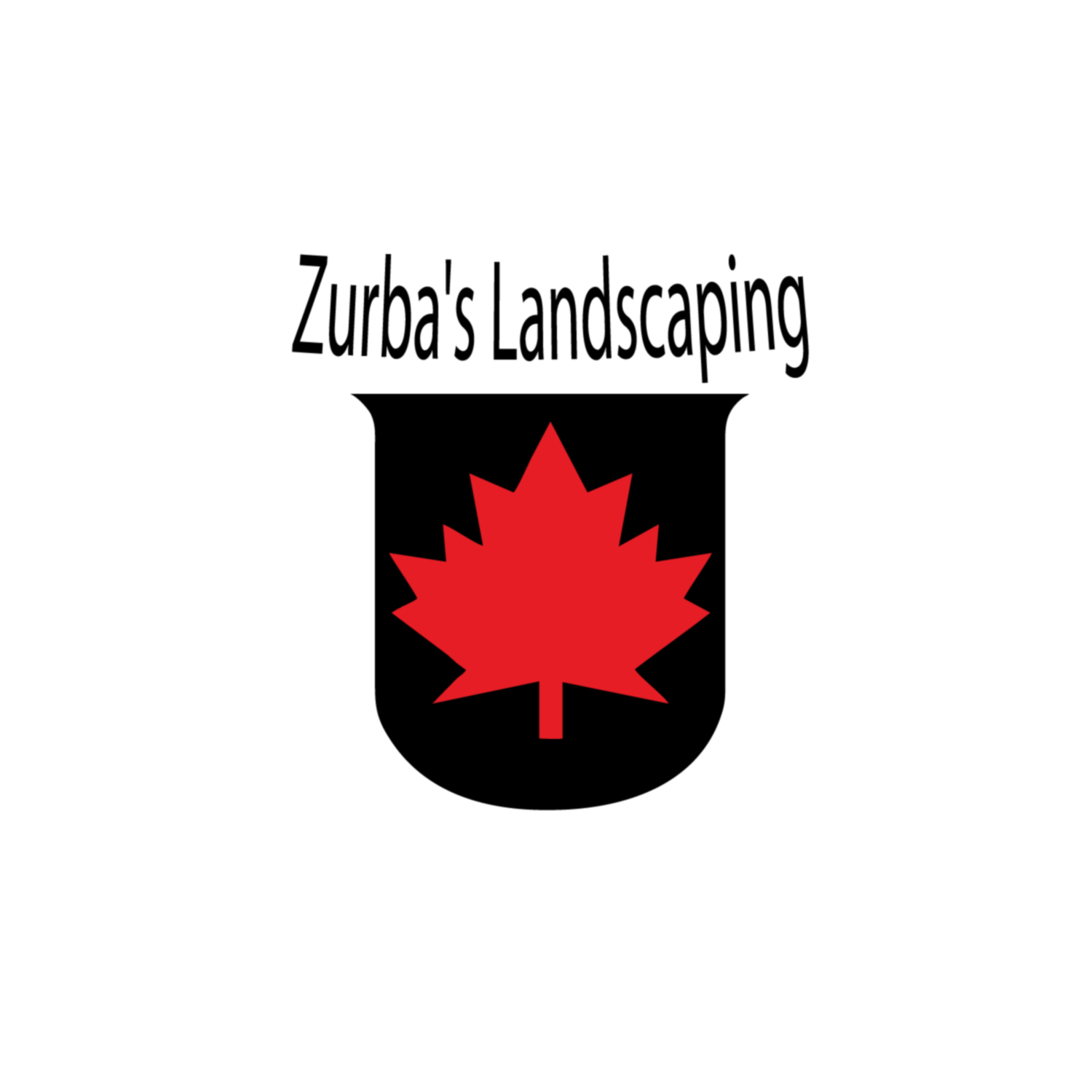 Design de Logo par The_Raving_Raven pour ce projet | Design #10905410