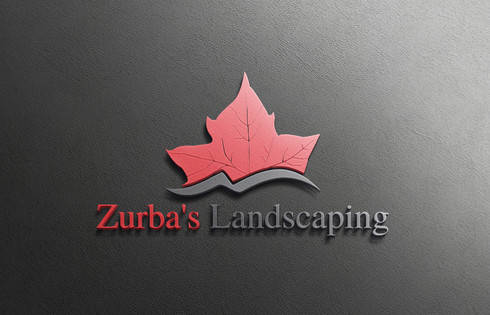 Design de Logo par logomaster24 pour ce projet | Design #10908092