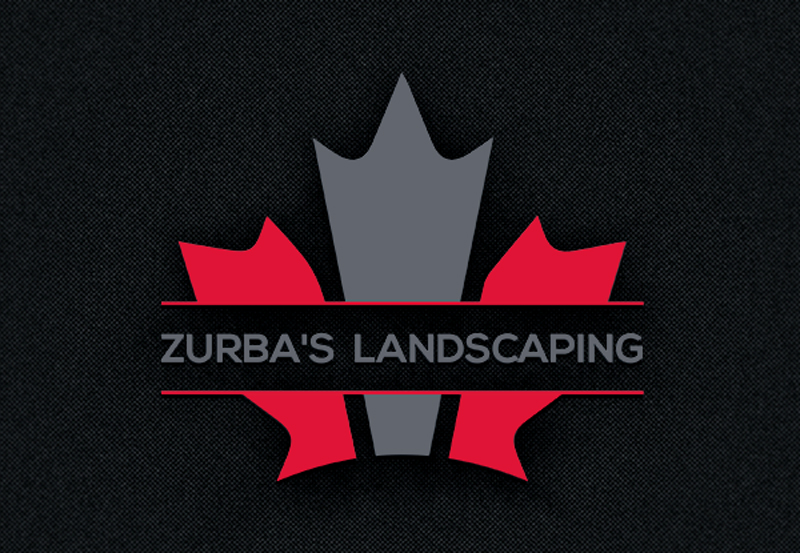 Design de Logo par jannatunnayem304 pour ce projet | Design #10909526