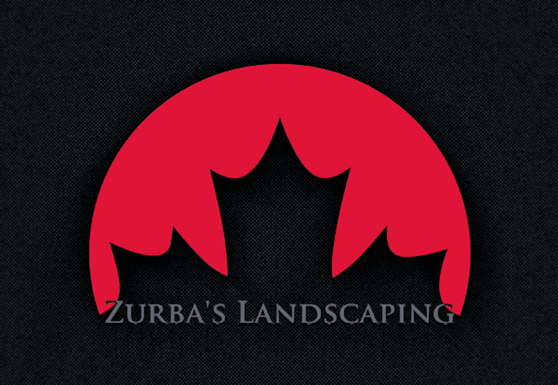 Design de Logo par jannatunnayem304 pour ce projet | Design #10909527