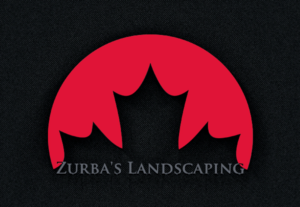 Design de Logo par jannatunnayem304 pour ce projet | Design : #10909527