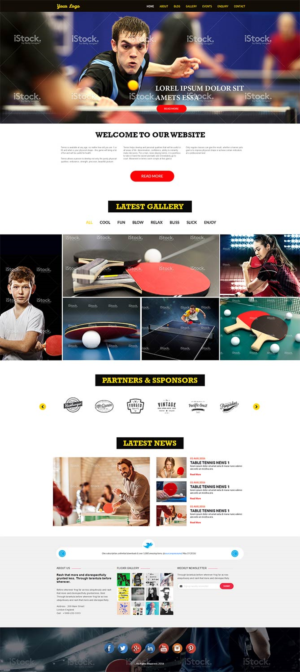 Web Design by Expert Designer
