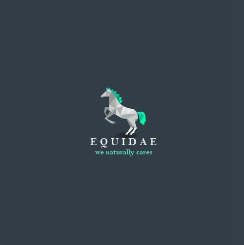 Logo Design by dhavalondesigncrowd for this project | Design #10955934