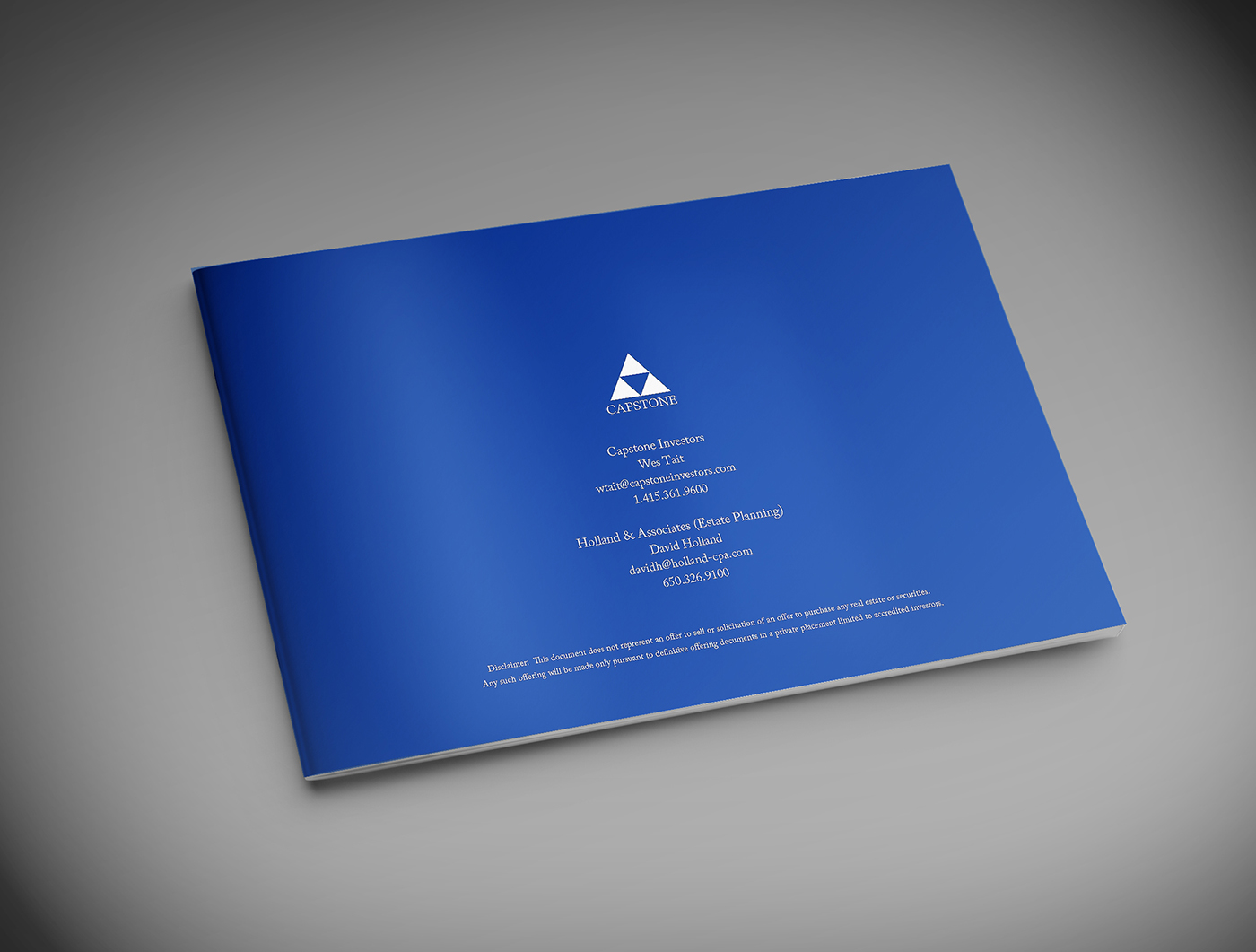 Flyer-Design von Raj für dieses Projekt | Design #10964761