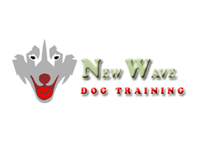 Logo Design by sameera udayanga