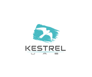 Design de Logo par VGB pour ce projet | Design : #11002754