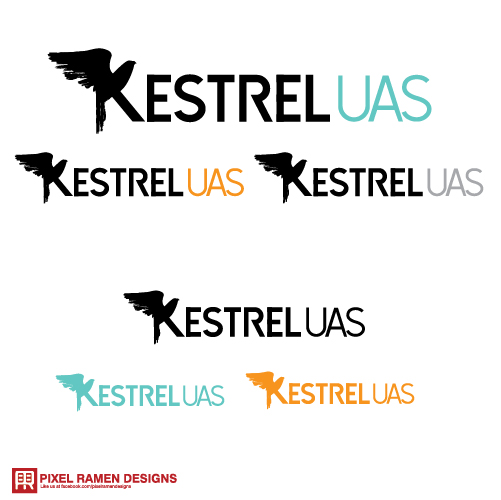 Logo Design by Noche designs for this project | Design #11005204