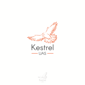 Design de Logo par abc. pour ce projet | Design : #10926640