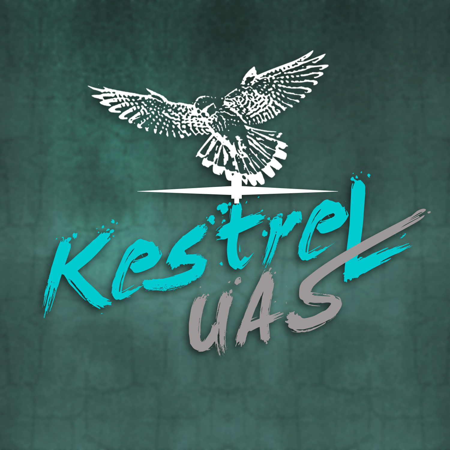 Design de Logo par angelina.ratufa pour ce projet | Design #10942902