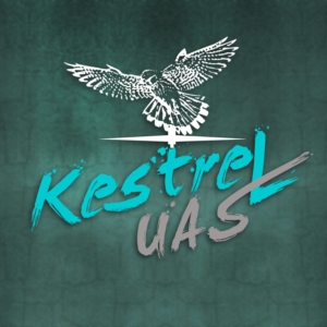 Diseño de Logo por angelina.ratufa para este proyecto | Diseño #10942902