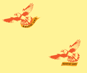 Diseño de Logo por abiewalker para este proyecto | Diseño #10917995