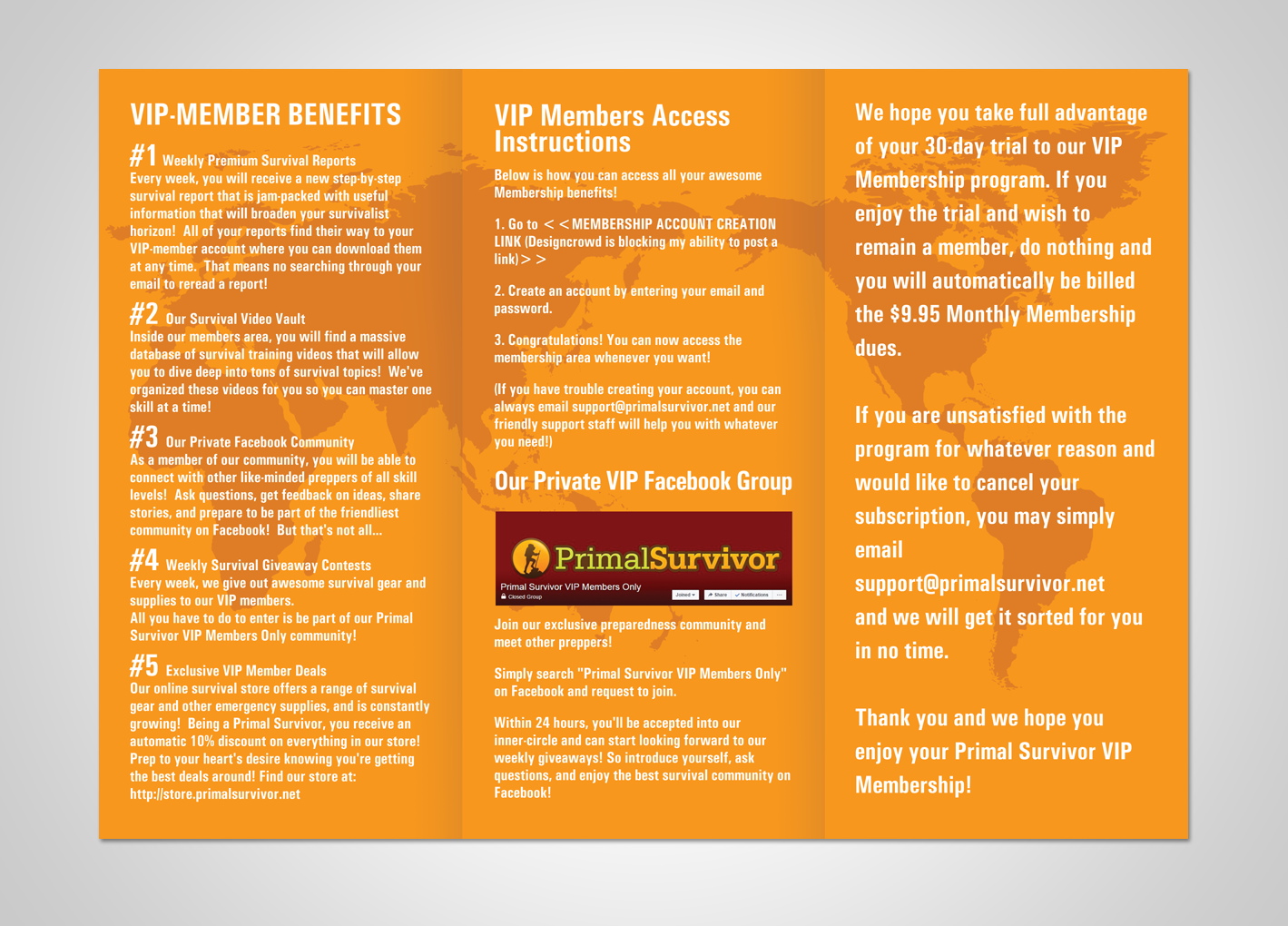 Flyer Design by Victor_pro for Real Affiliate Mentor | Design #11056883