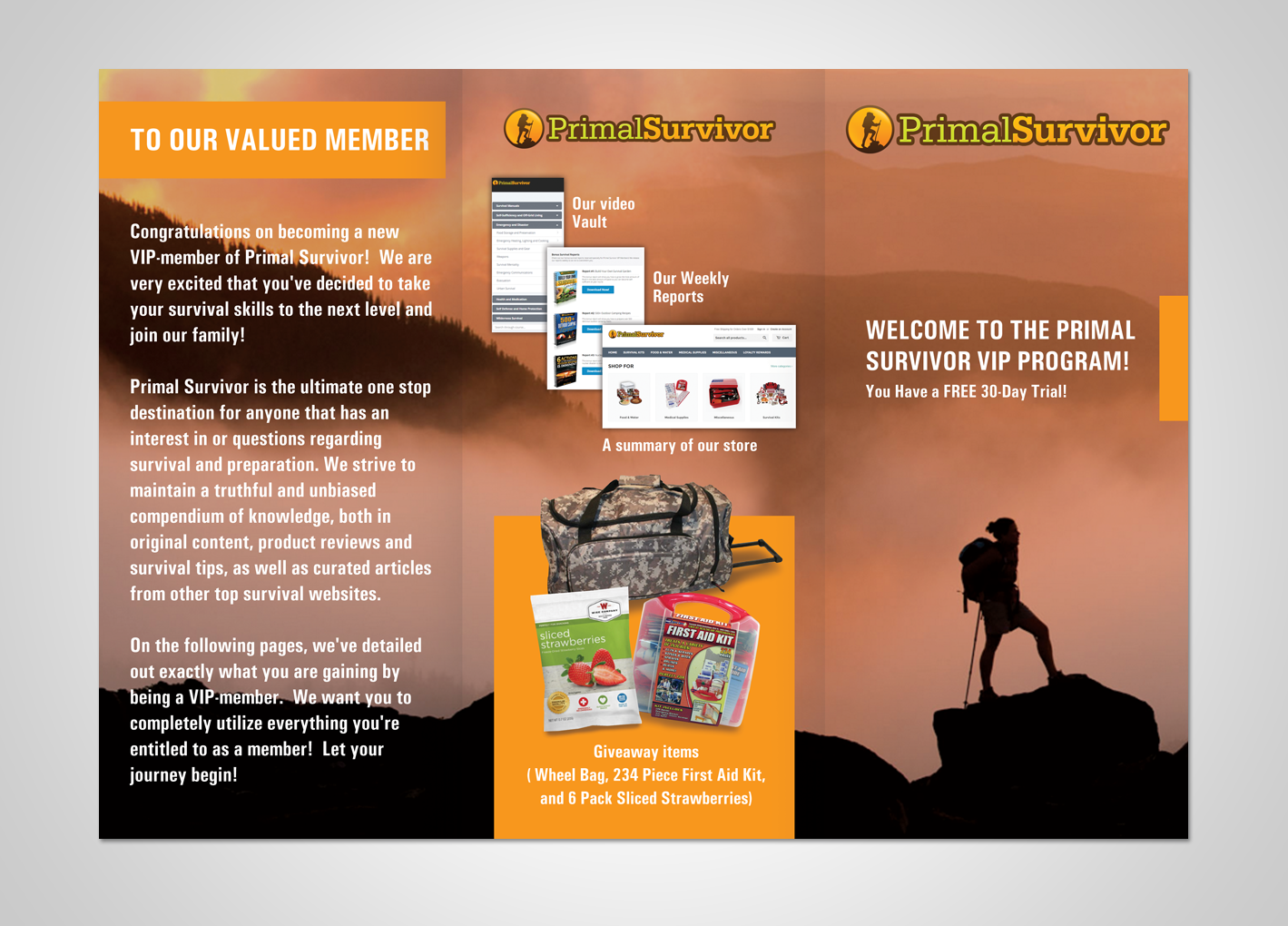 Design de Flyer par Victor_pro pour Real Affiliate Mentor | Design #11062337