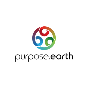 Logo Design by Sintegra