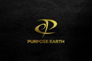 Design de Logo par site pour ce projet | Design : #10924375