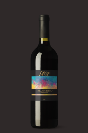 Label Design by RedOne22 for Sandro Wines | Design: #11104389