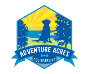 Logo Design by Mindflash Advertising