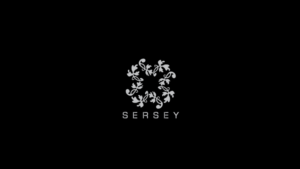Logo Design by jose_luiz for this project | Design: #10997767