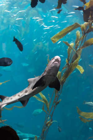 Photography by XOXO09