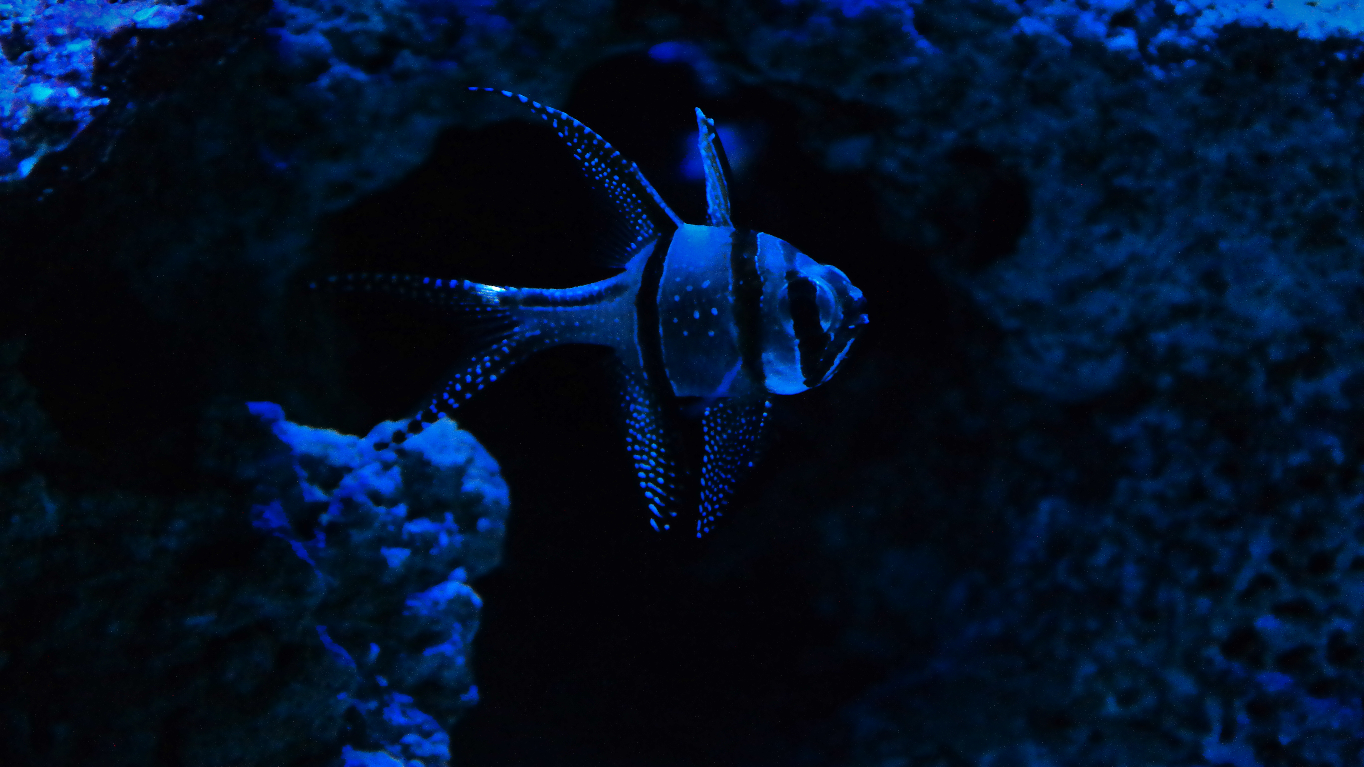 Photography by Tolga for DesignCrowd (Community Contests) | Design #10984880