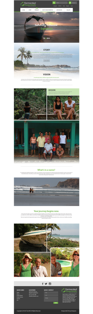 Web Design by primarydesigner2k9 for this project | Design #11076694