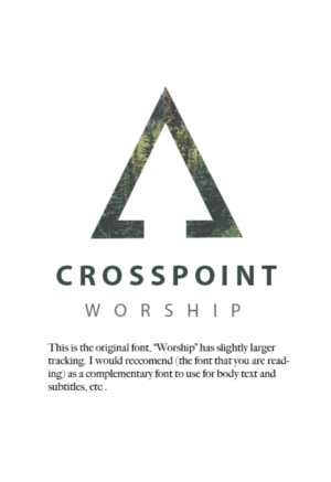 Logo Design by Big Studio