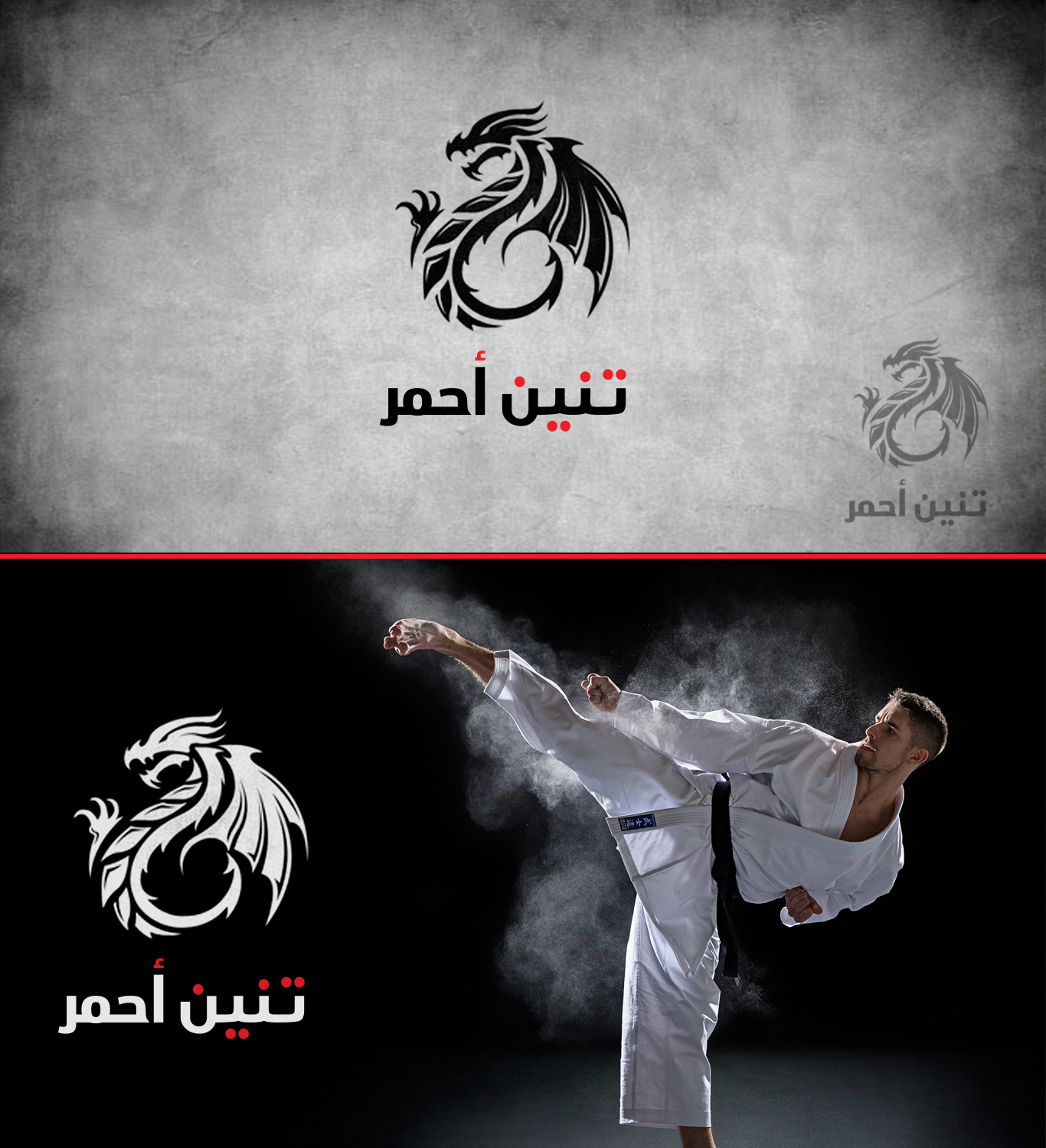 Logo Design by hesan for this project | Design #10973105