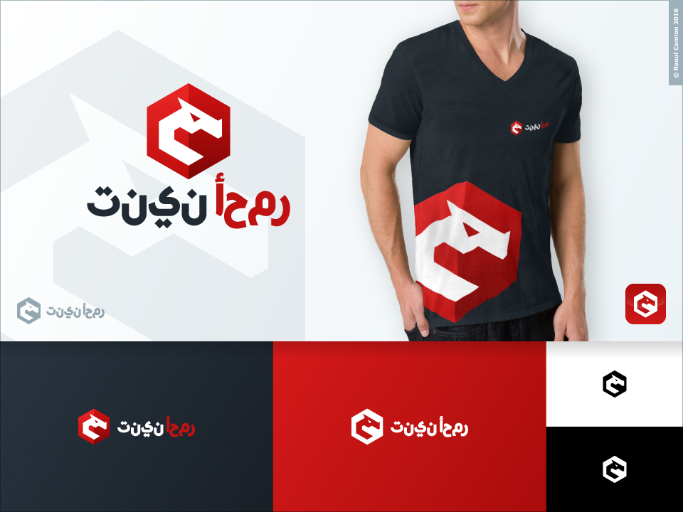 Logo Design by Raoul Camion for this project | Design #11008396