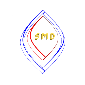 Design de Logo par LightOn pour ce projet | Design : #541734