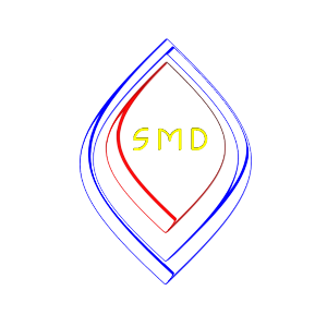 Design de Logo par LightOn pour ce projet | Design : #541735