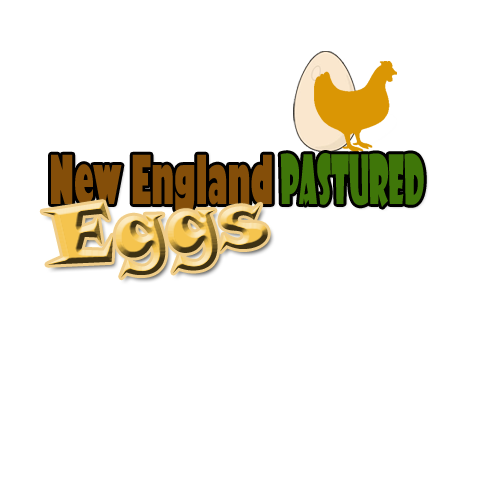 Logo Design by spooky947 for this project | Design #2266033