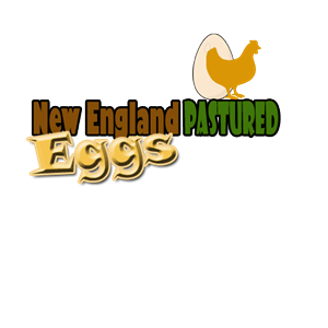 Logo Design by spooky947 for this project | Design: #2266033