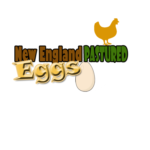 Logo Design by spooky947 for this project | Design #2266035